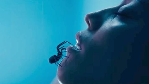 Are You Afraid of Spiders? Don’t Watch This Trailer for Any Reason (Featuring Matilda Lutz)