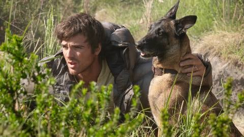 The Dog Stars: The Author’s Reaction to Ridley Scott’s Film