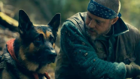 Brad Pitt’s Deep Bond with His Dog in Heart of the Beast Featurette