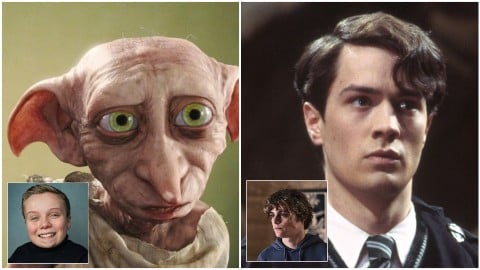 Harry Potter: The Series Finds Dobby and Tom Riddle — Two Rising Talents We’ve Already Seen