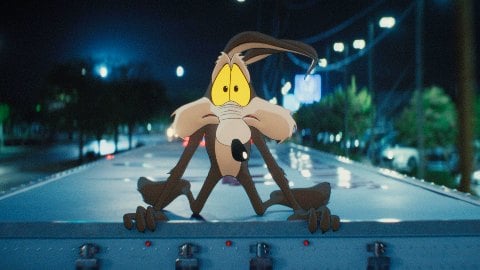 Coyote vs. Acme Tops the Italian Weekend Box Office, Wile E. Coyote’s Comeback