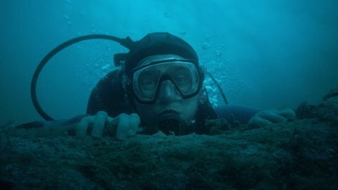 Trapped Inside a Giant Whale’s Belly with One Hour of Oxygen: Whalefall Final Trailer