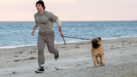 I Play Rocky Wows Everyone: Standing Ovation at Premiere for the New Sylvester Stallone
