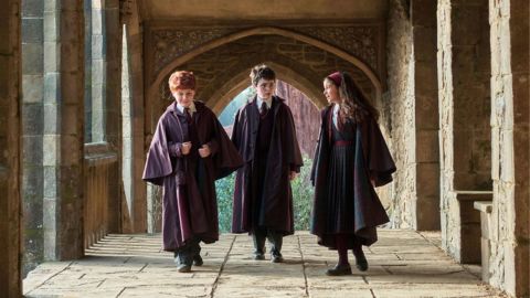 Harry Potter: Gary Oldman Reveals the TV Series’ Advantage Over Films